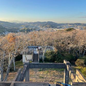 衣笠山展望台から