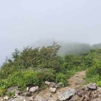 登山口のスキー場は晴れておりましたが高度を上げるとガスガス