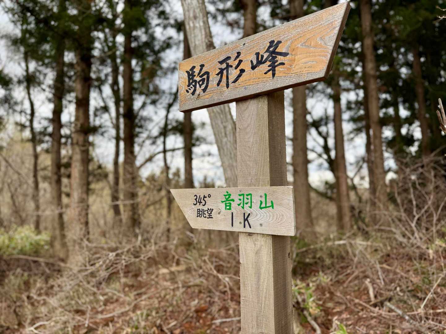 音羽山、345°眺望。あと15°…
