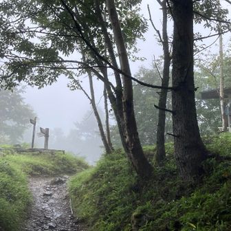 小雨の中を進む