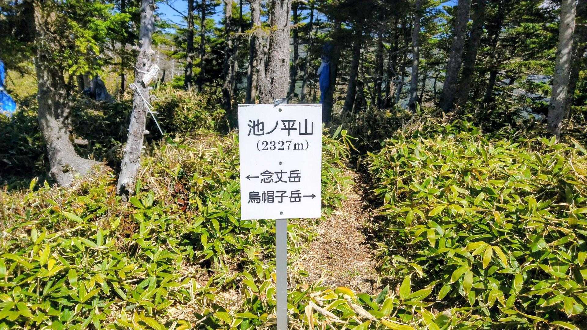 池ノ平山に到着💪
※今回行った山の中で、最も標高が高かったけど、残念ながら眺望は有りませんでした😌
それでも、とても涼しいので、これからの季節、こんな場所も必要です😉