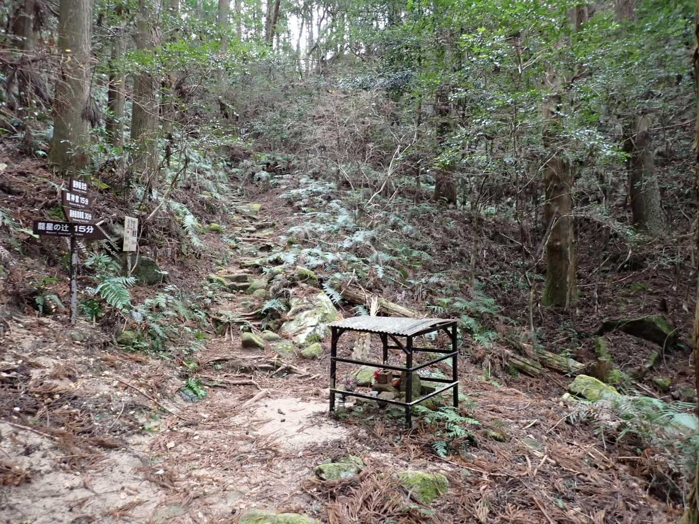 何故かこの場所に簡素な祠。この谷付近で空気が一変します。清々しい良い氣が出ている感じが・・気分がすっきりしてきてます。
