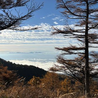🗻あたまも見えますよ✨