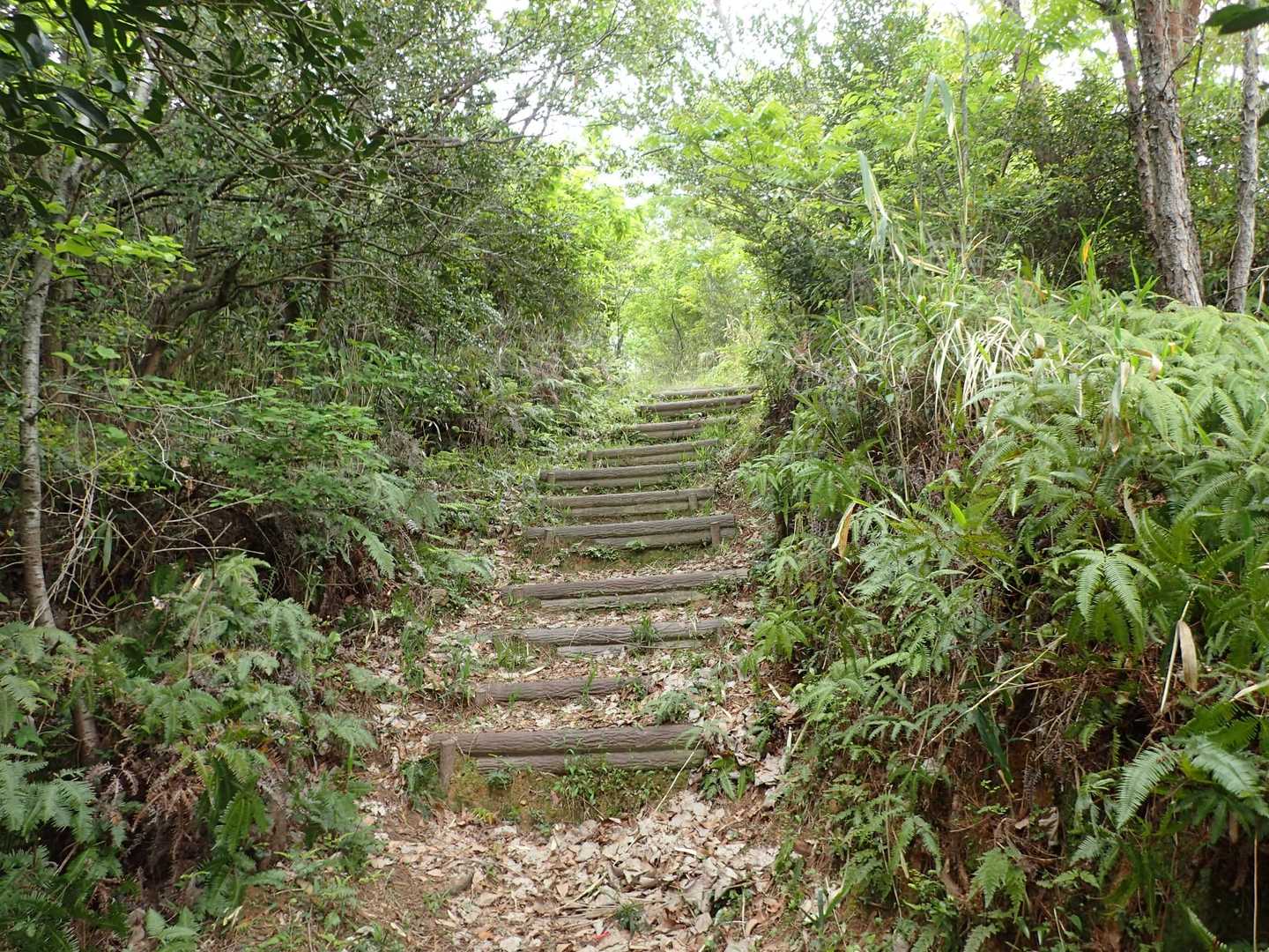 更に階段〜