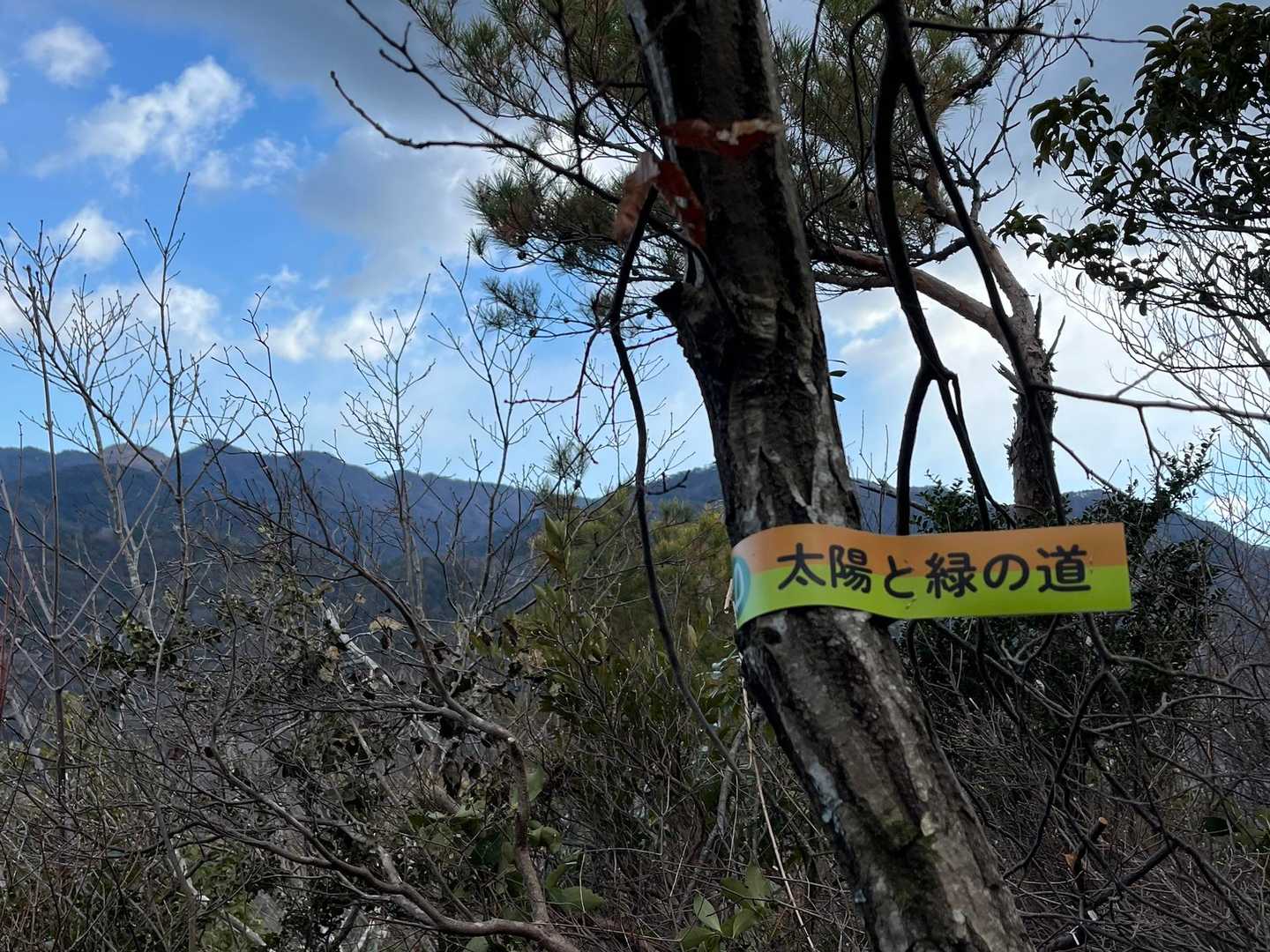 高丸山 周回コースの写真