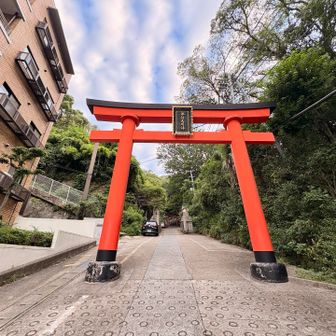 ようやく登山っぽい感じ🚶