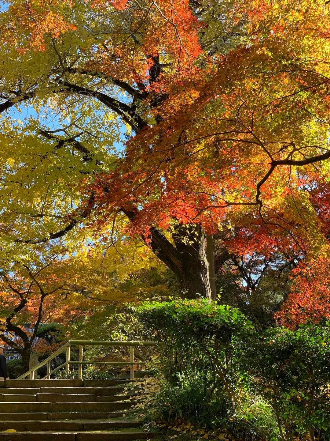 清水山 往復コースの写真