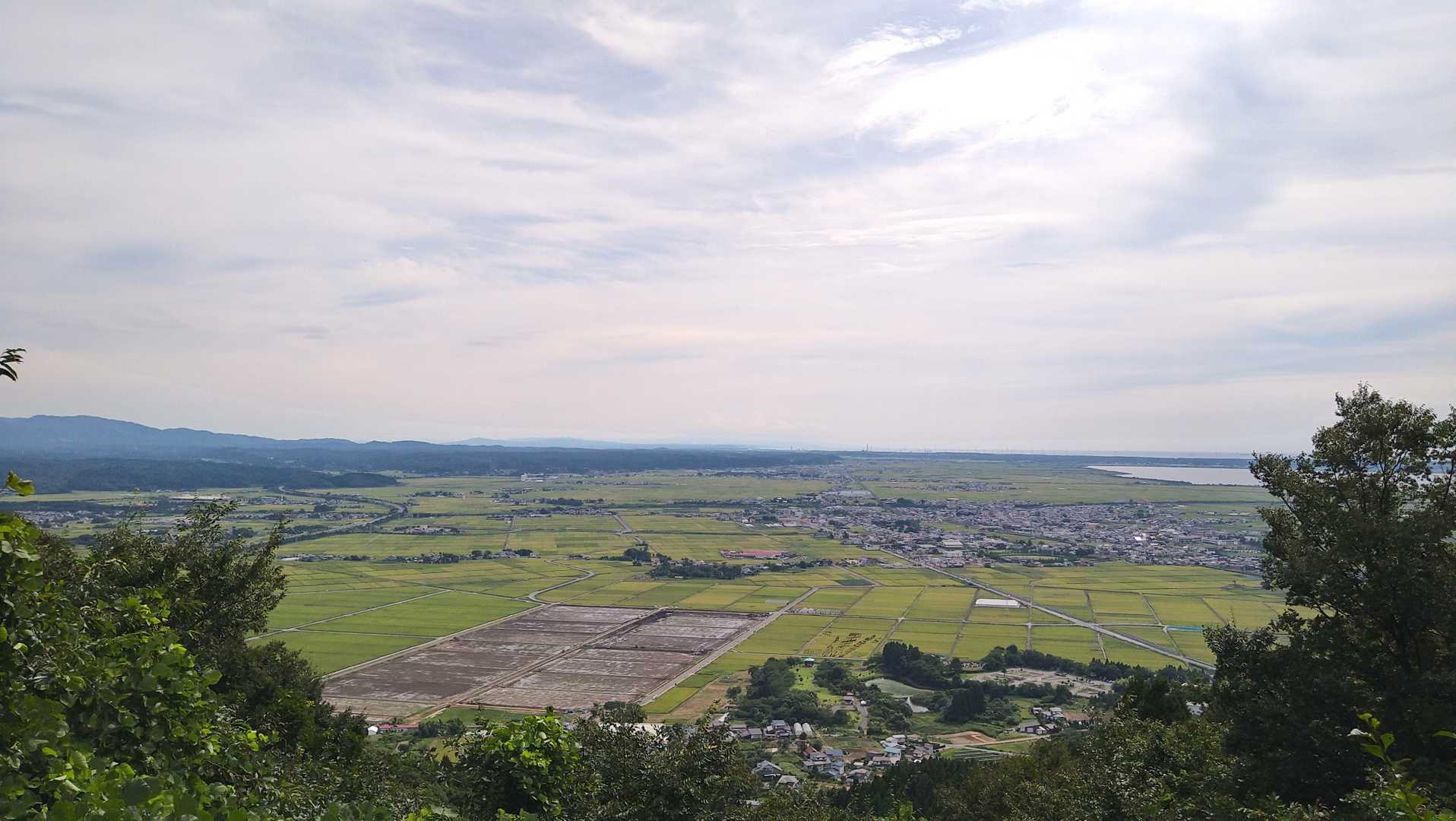 ん？もしかして田んぼアートかな？🙄（見たくなる〜😆）