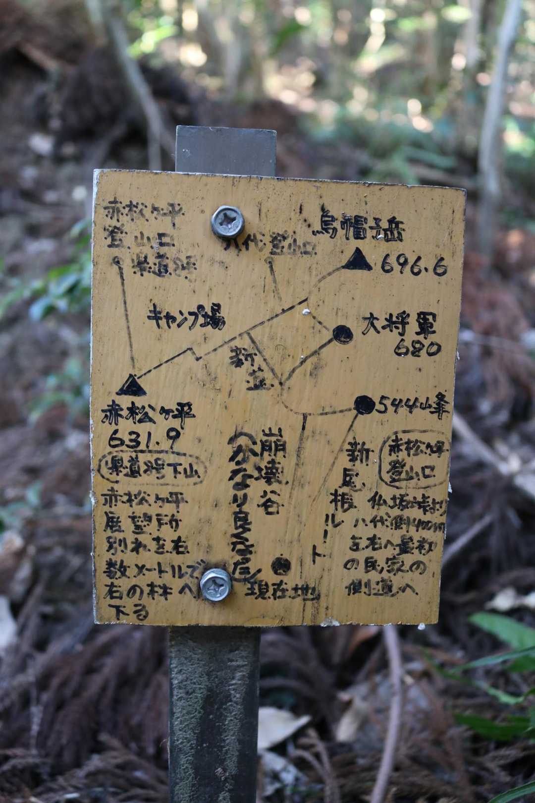 響きの良い新尾根ルートに心惹かれるが、崩壊谷ルート上にあるという「ニワトリ岩🐔」が気になったのでそちらをチョイス。
思えばこれが運命の分かれ道だった。