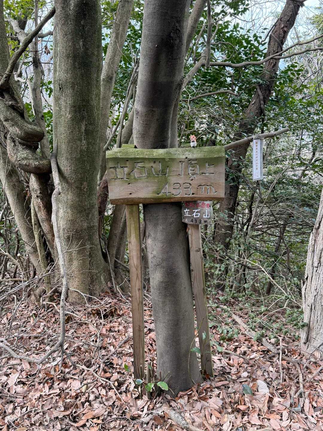 立石山山頂