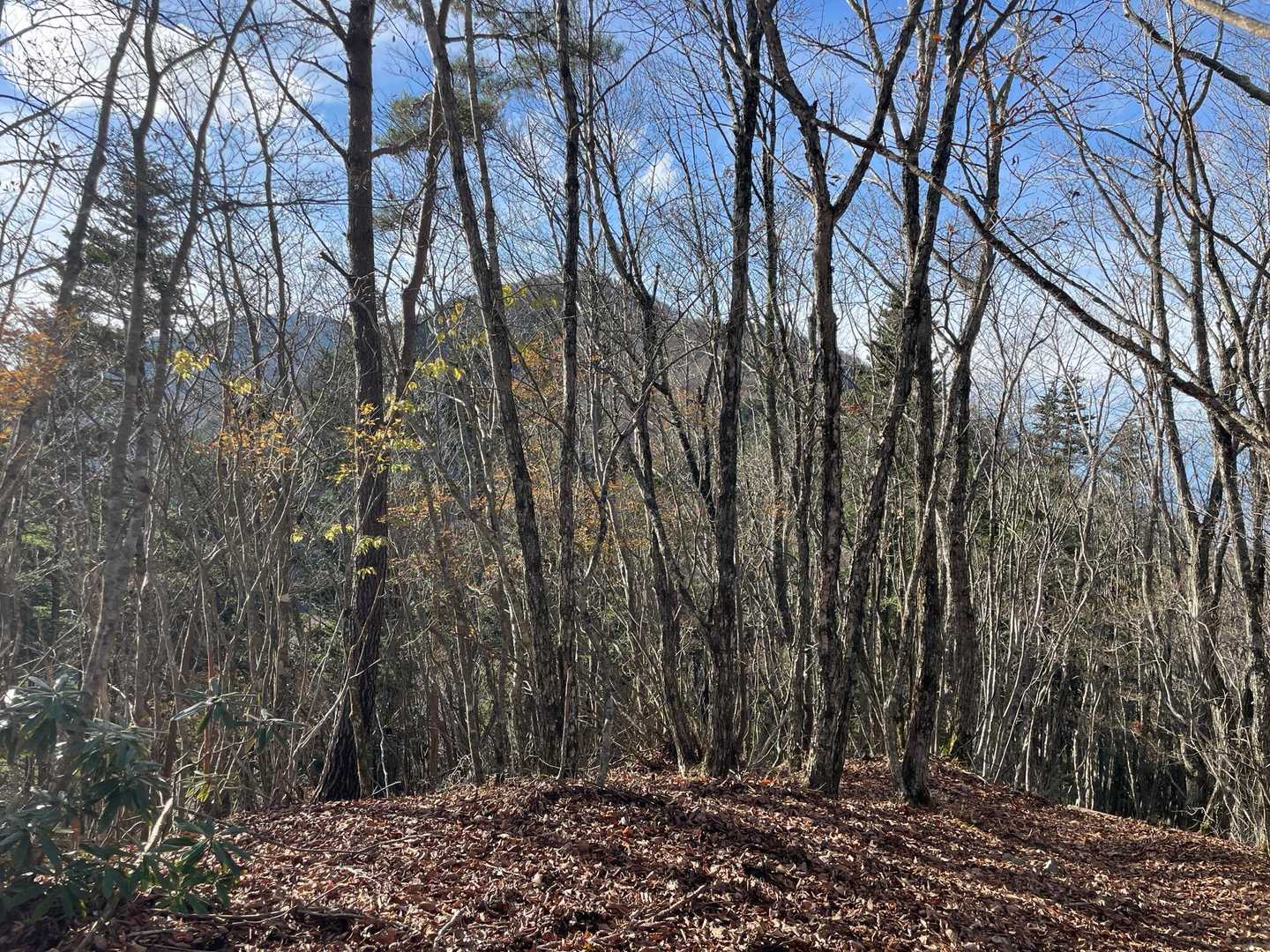 あの手前が御坂山だ！後ろの黒岳まで歩きたかった気もする〜