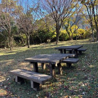 ここでランチタイム🍙