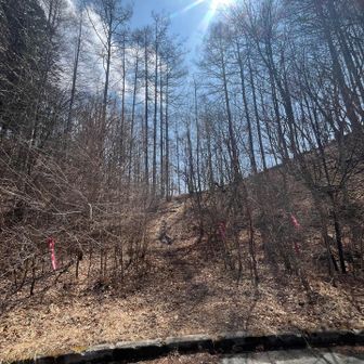 ロードを15分くらい歩いて当初予定していた登山道に合流。