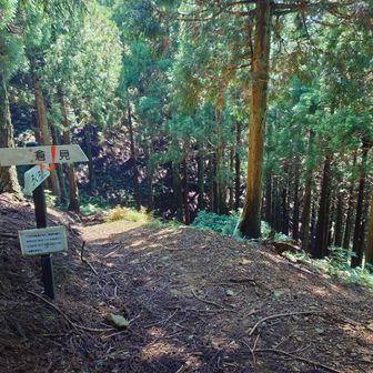 このまま真っすぐ進むと熊川宿方面に行けるようですが西に転進、倉見方面へ。