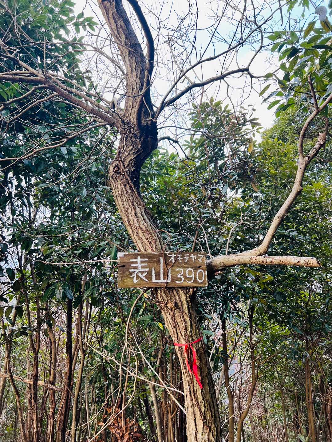 眺望無し😢
相の木山に行く道を暫くウロウロ探す