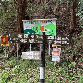 ⬅️ハイキング道　
　　　高取城跡約2.8km
           五百羅漢約0.2km
　(左下にある薄い色の標識です)

 (高取城跡 車道約2.8km➡️)