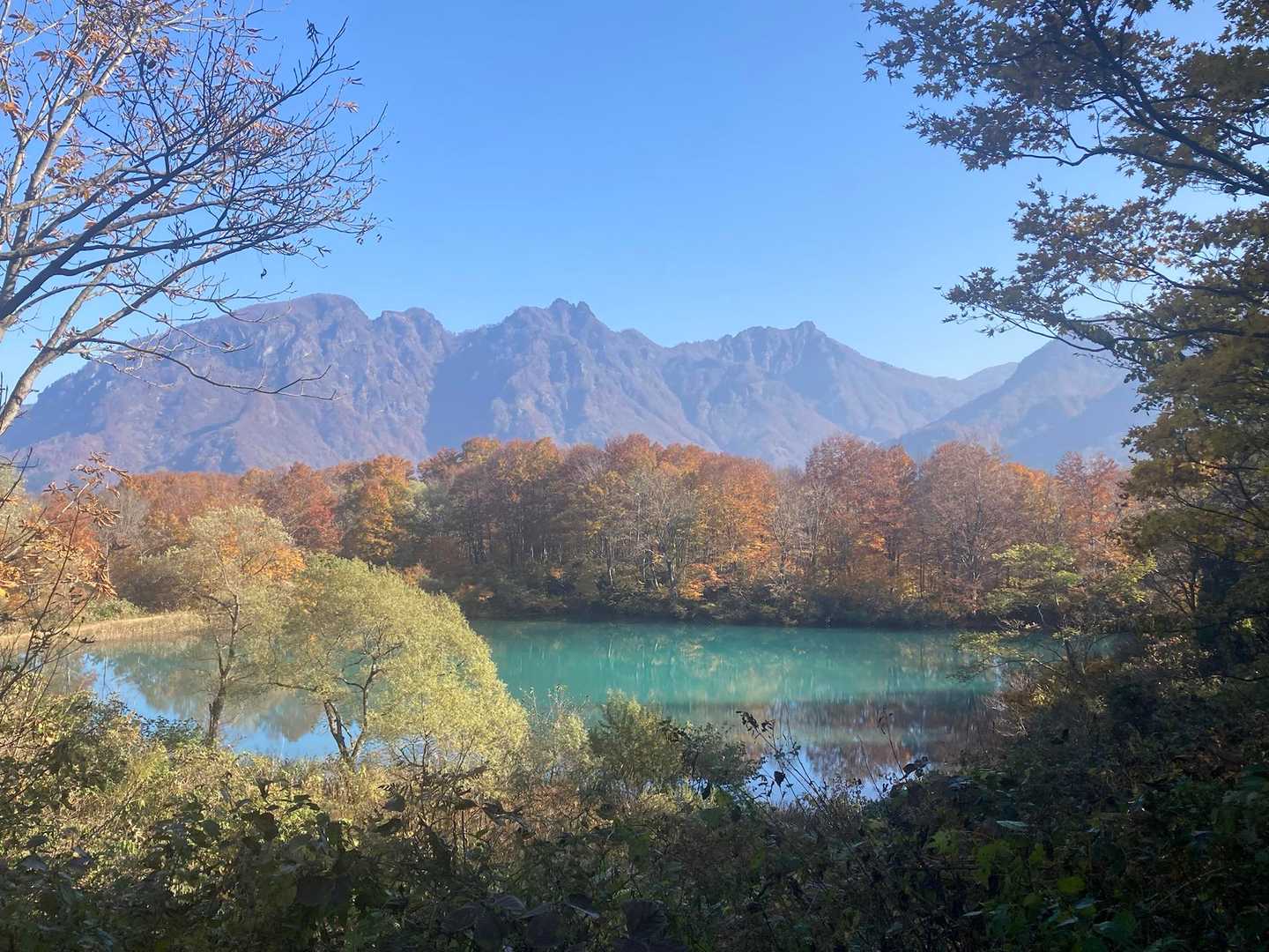 この景色が見たかったんです♪

ここで手袋🧤を片方落とした事に気付く。そこへ優しいご夫婦が登って来られ「手袋探してますか？わかる様に木に引っ掛けておきましたよ」と声かけて下さる🥹🙏ありがたかったです。

結構登ってしまったので帰りに回収する事にしました。