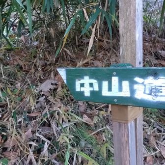 ココから中山道へ👣
