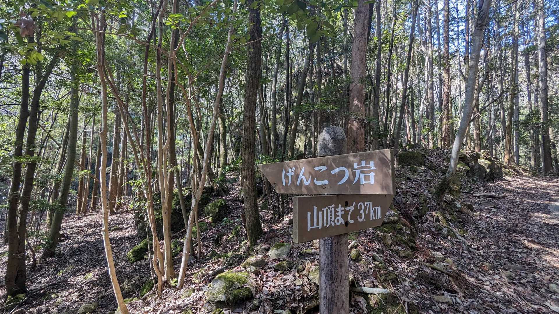 げんこつ岩❓