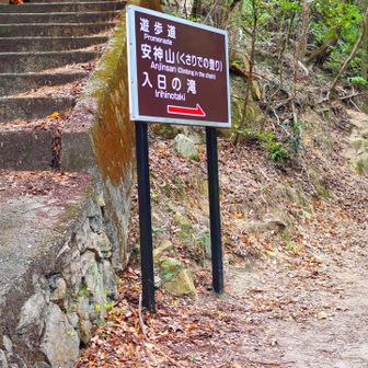 鎖⛓️場にはいかず