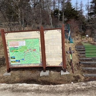 ゴンドラ駅終点から直ぐの登山口