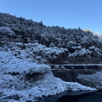 この辺では珍しく真っ白