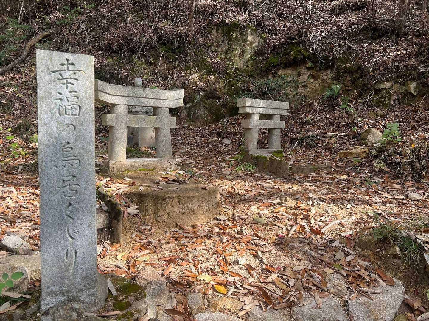 でたーーー‼️
よく見る、潜る鳥居⛩
さぁ、宝くじ当てるぞ‼️