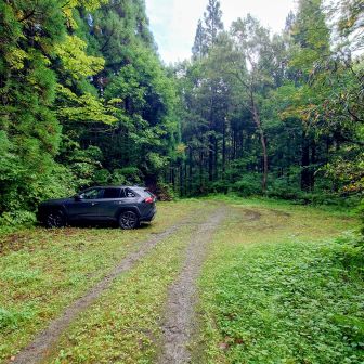 💡皆さんの日記を参考💡
この地点まで普通に来れました🚜