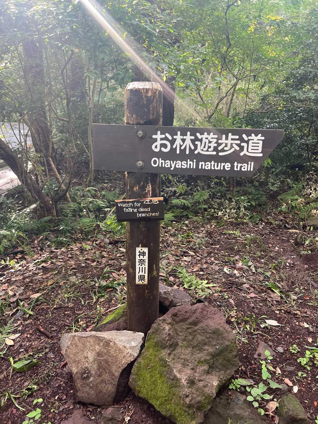 灯明山 往復コースの写真