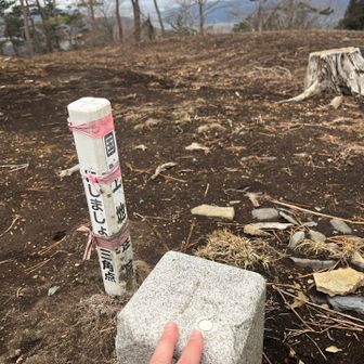 小萩山頂
山頂伐採されてます