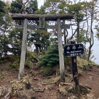赤薙は雲の中。男体山雲海も見えず…
