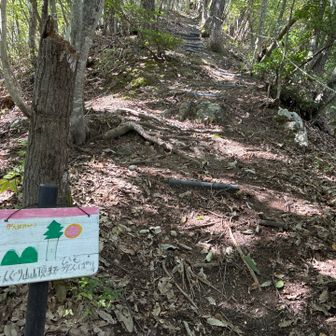 とうとう距離が出なくなった？