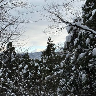 おっ✨
真っ白な山が
見えてきたぞ🤩