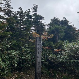 到着　