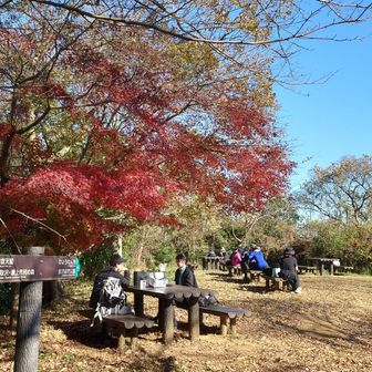 大丸山山頂は休憩スペースあり