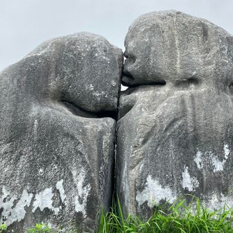 これね