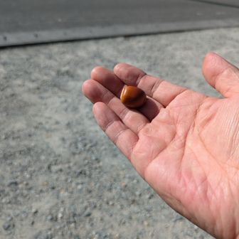 登山道はドンクだらけ!!