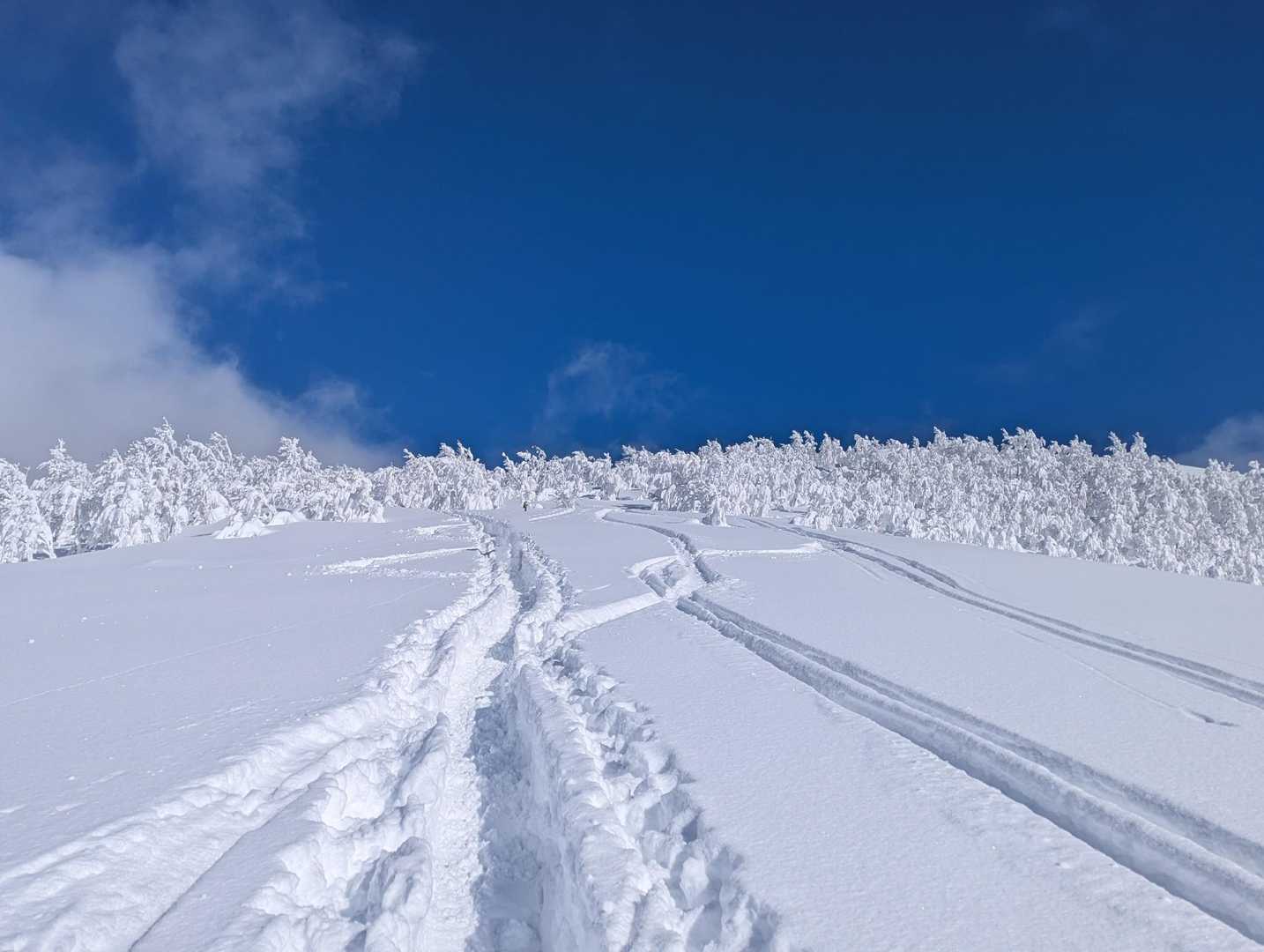 取立山登山口-取立山 往復コースの写真