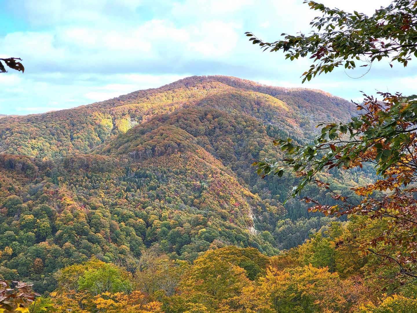 尾根では視界が開け紅葉を観賞