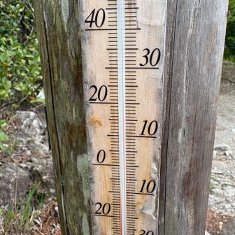 風が吹くと少し寒かったかな