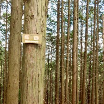 信貴山南峰（雌嶽）にも寄ってみる