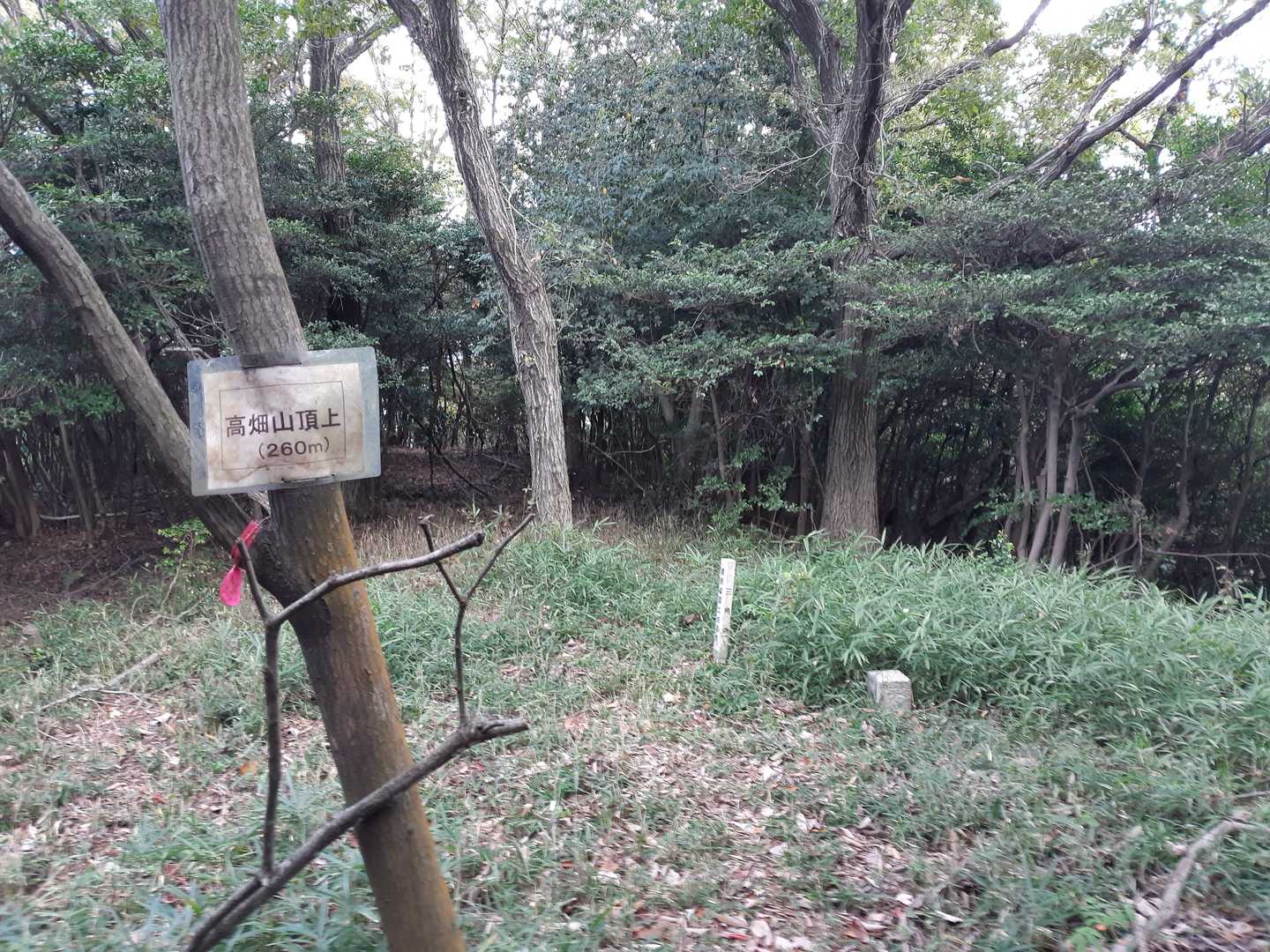 高畑山ゲット