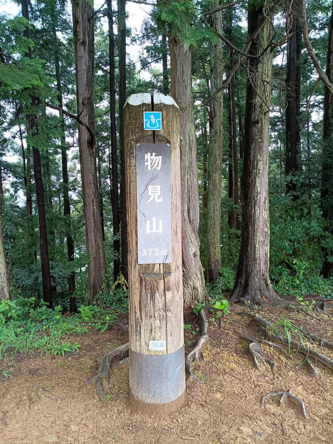 小瀬名富士-小瀬名富士登山口 往復コースの写真