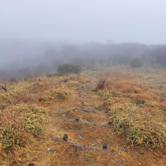 頂上からの下り階段