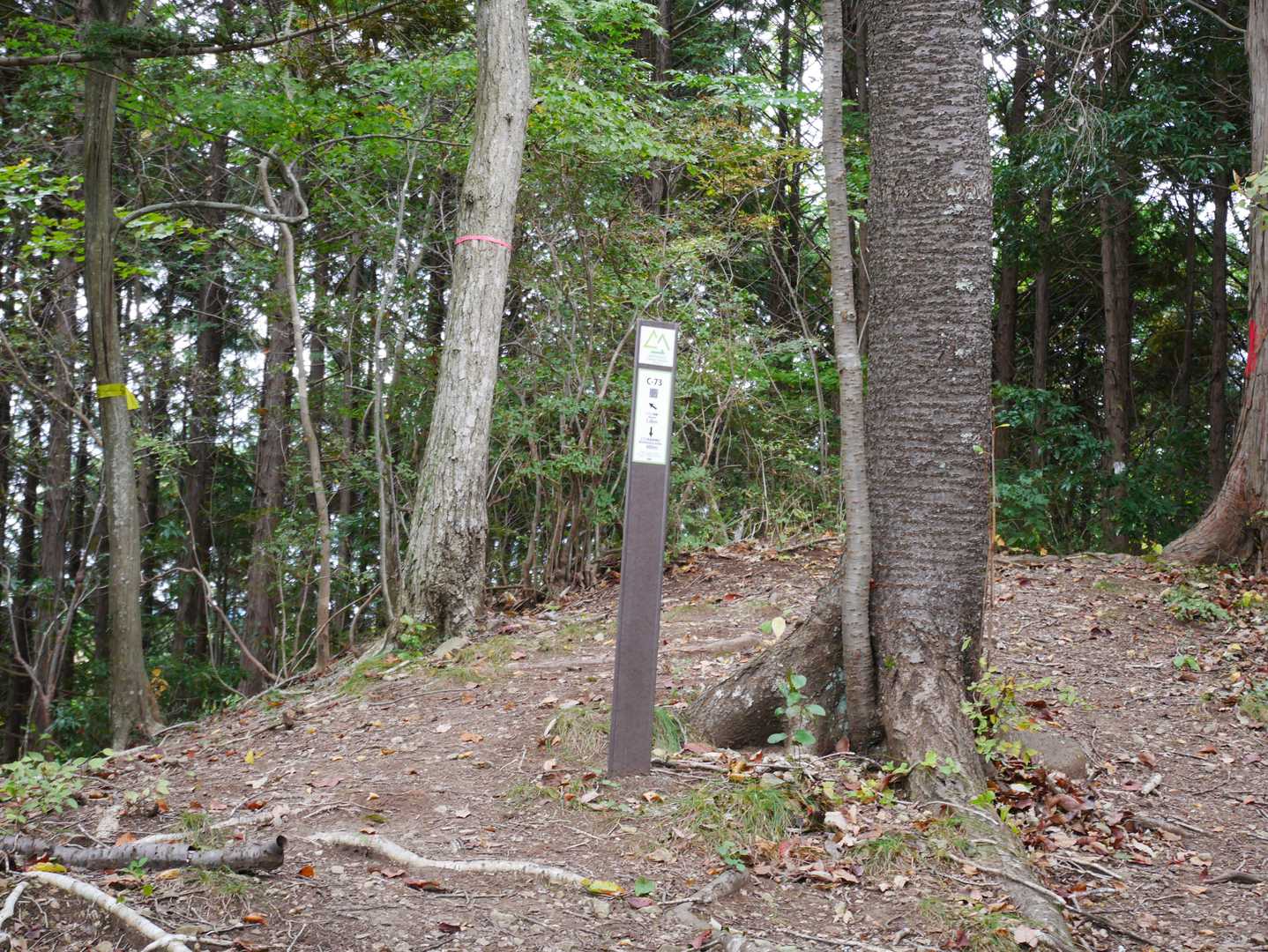 西金砂神社-西金砂山-地割 往復コースの写真