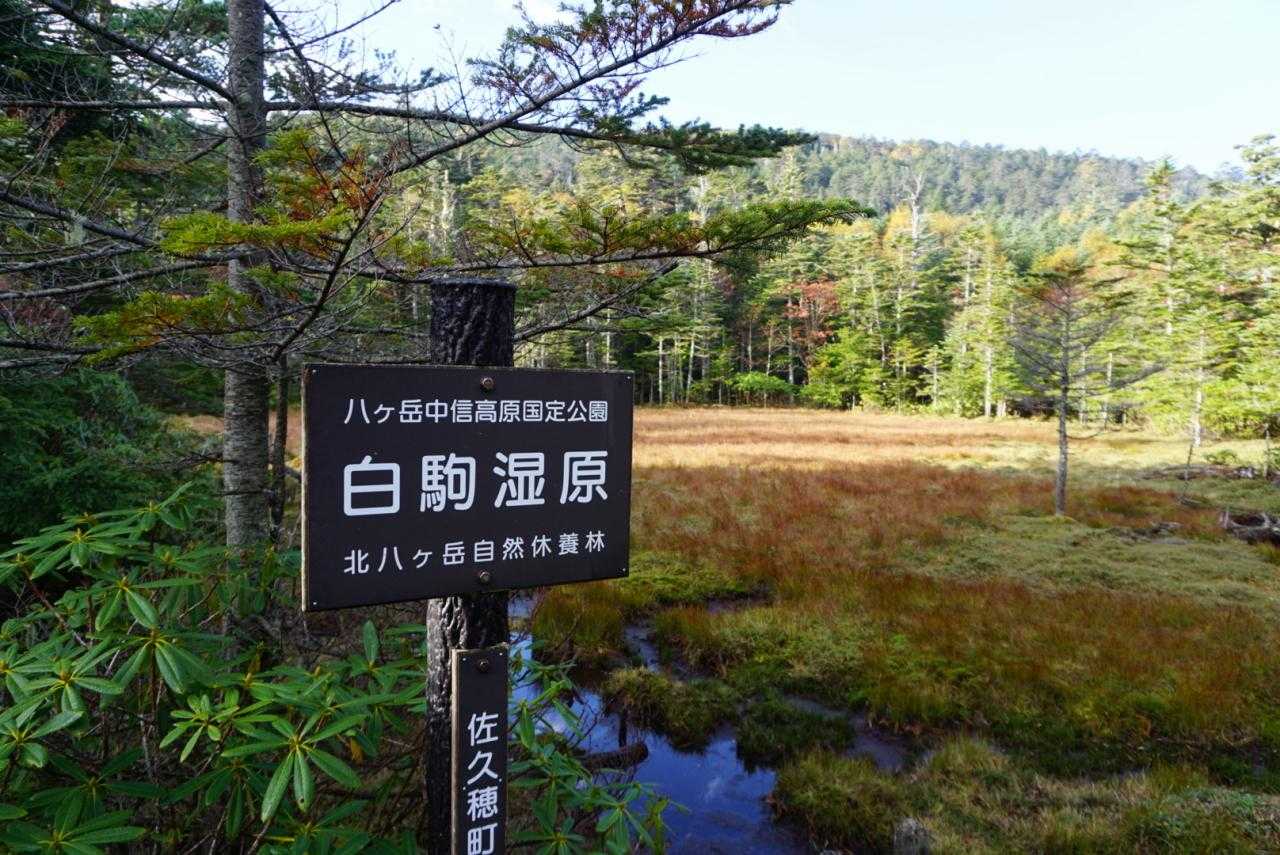 湿原も通って。