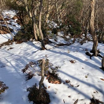 まわりはほぼ雪