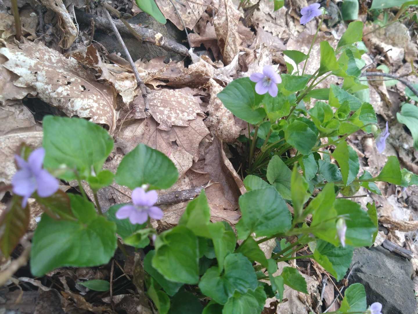 まだ余裕あって写真撮ってました😅
