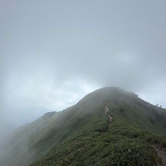 待てないので次郎さんへ🚶