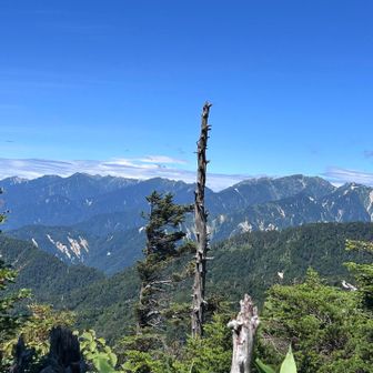 中央アルプスもお顔出して絶景✨